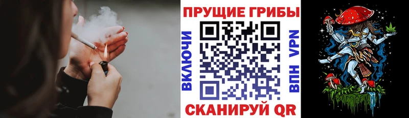 omg маркетплейс  Чудово  Псилоцибиновые грибы Psilocybine cubensis  дарнет шоп 